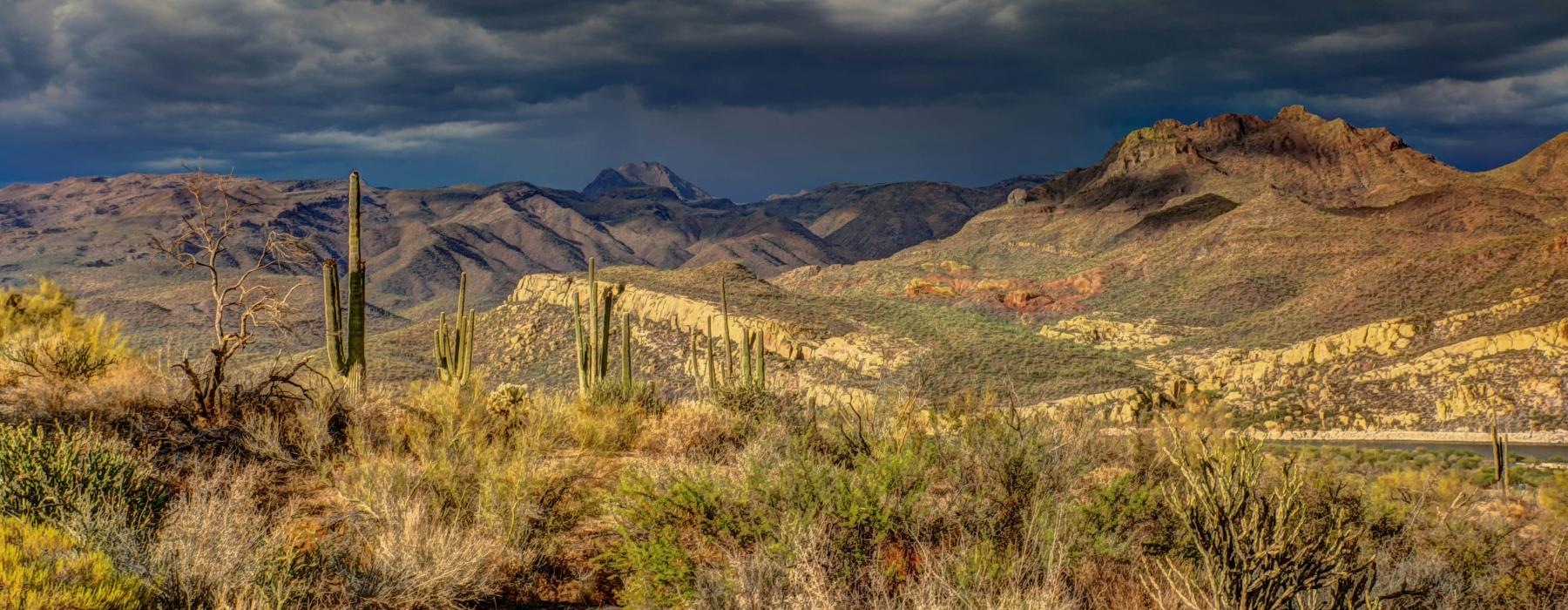 landscape with mountains and desert